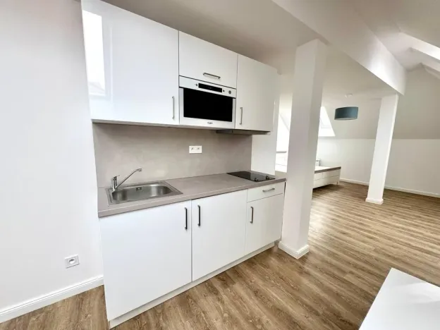 Pronájem bytu 1+kk, Praha - Nové Město, Biskupská, 49 m2