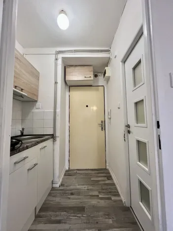 Pronájem bytu 1+kk, Ostrava - Hrabůvka, Krakovská, 21 m2