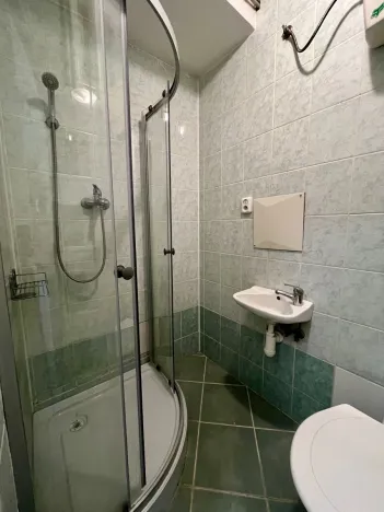 Pronájem bytu 1+kk, Ostrava - Hrabůvka, Krakovská, 21 m2