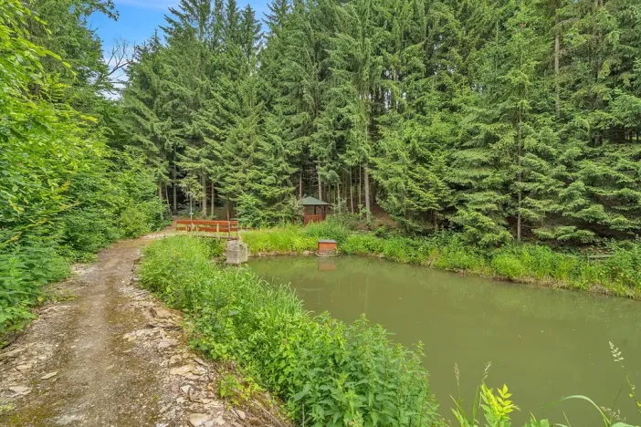 Prodej chalupy, Sudslava, 80 m2