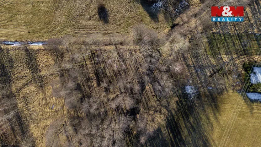 Prodej louky, Dětřichov, 4178 m2