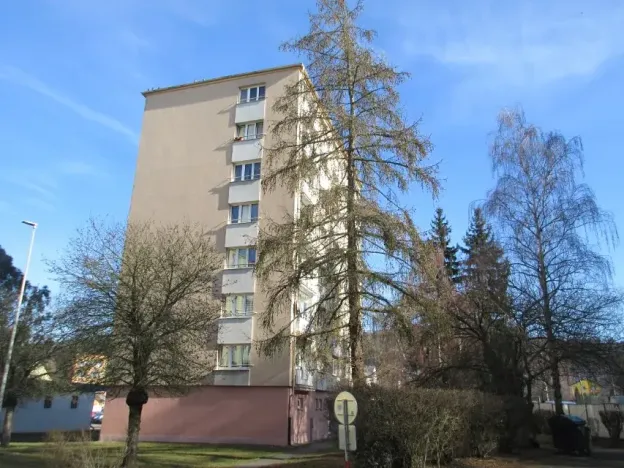 Prodej bytu 2+1, Písek, Dr. M. Horákové, 55 m2