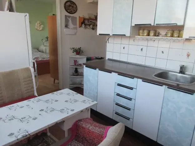 Prodej bytu 2+1, Písek, Dr. M. Horákové, 55 m2