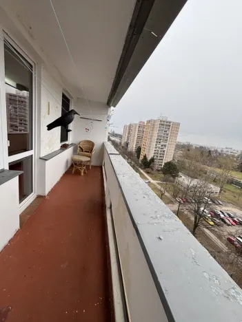 Pronájem bytu 1+kk, Hradec Králové, Jungmannova, 30 m2