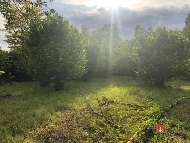 Prodej rodinného domu, Týniště nad Orlicí - Petrovičky, 115 m2