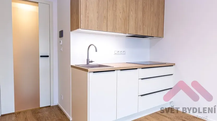 Pronájem bytu 1+kk, Praha - Žižkov, Šrámkové, 34 m2