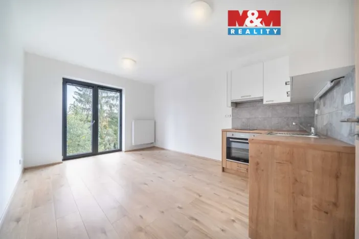 Pronájem bytu 1+kk, Třemošná, Školní, 32 m2