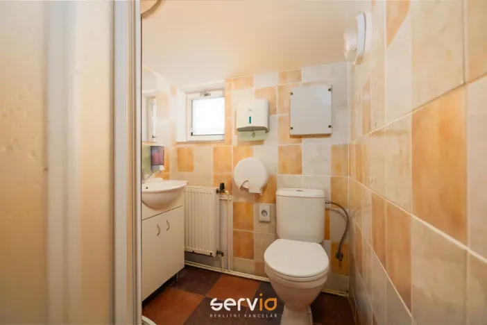 Prodej ubytování, Říčky v Orlických horách, 500 m2