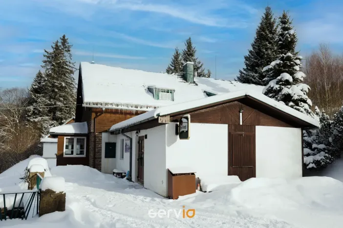 Prodej ubytování, Říčky v Orlických horách, 500 m2