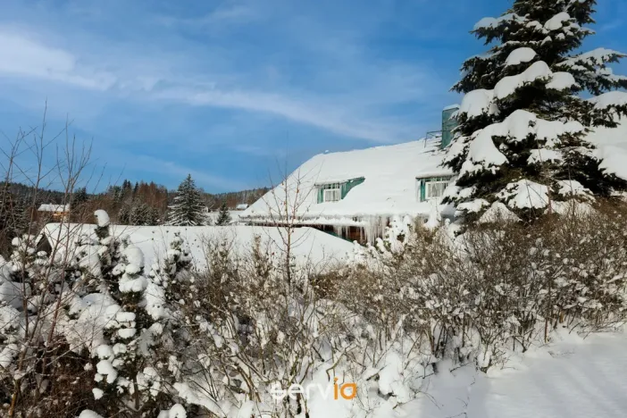 Prodej ubytování, Říčky v Orlických horách, 500 m2