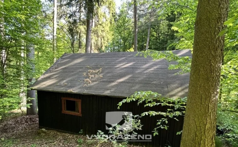 Prodej chaty, Kaliště - Poddubí, 33 m2