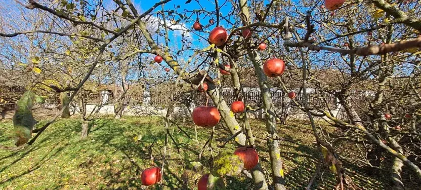 Prodej rodinného domu, Lomnička, 300 m2