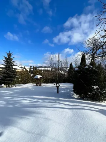 Prodej rodinného domu, Červená Voda, 310 m2