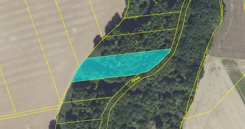 Dražba louky, Květnice, 3052 m2