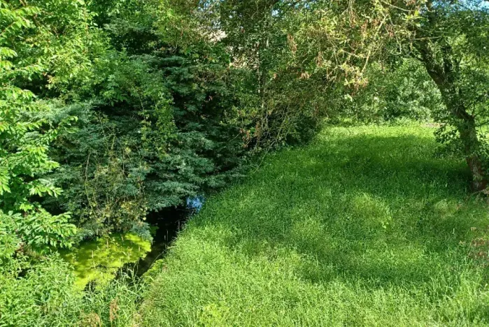 Dražba pozemku, Tuhaň, 972 m2