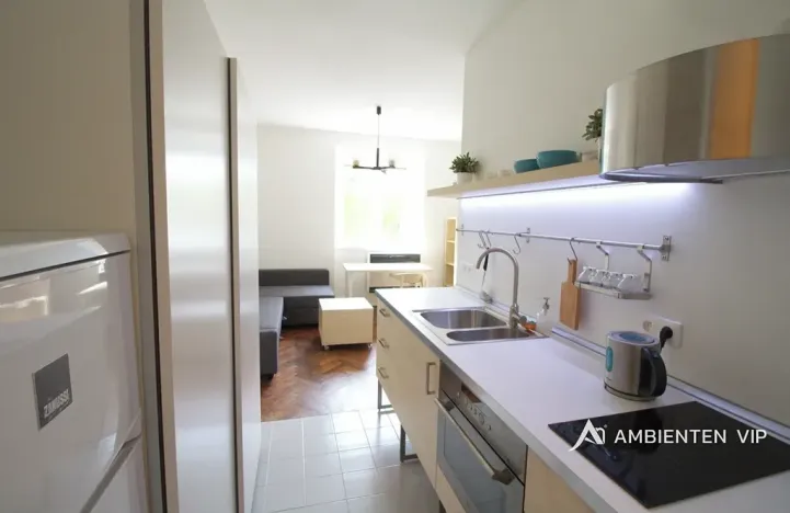 Pronájem bytu 1+kk, Brno, Milady Horákové, 35 m2