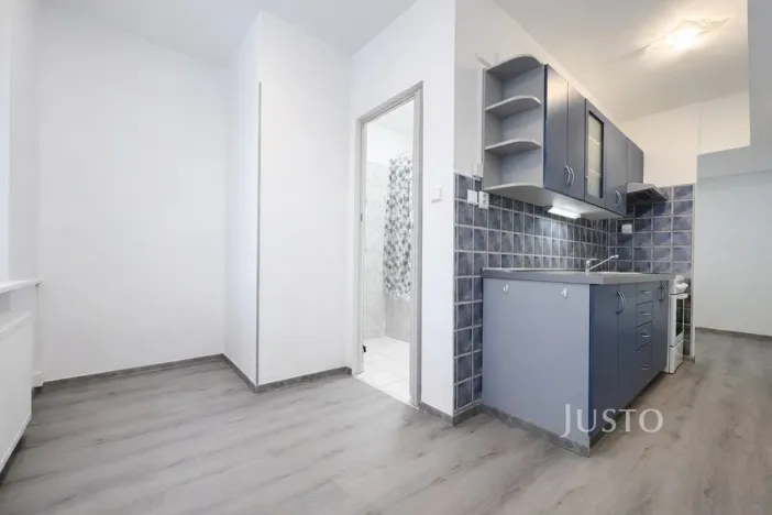 Pronájem bytu 1+1, Ústí nad Labem, Tolstého, 44 m2