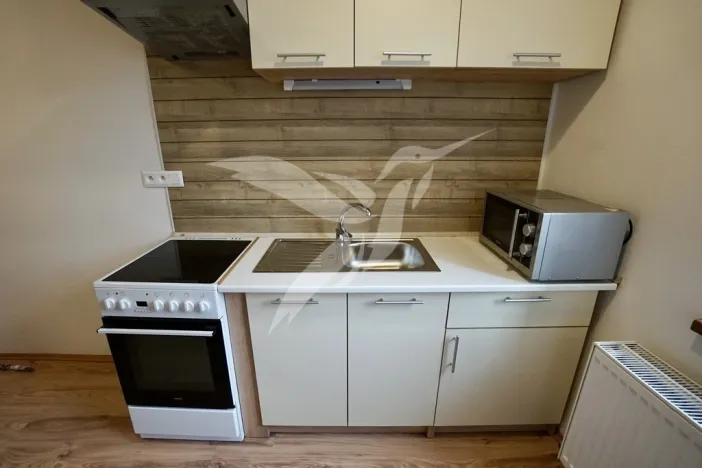 Pronájem bytu 1+1, Město Touškov, Čemínská, 38 m2