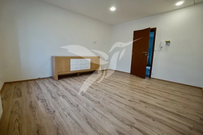 Pronájem bytu 1+1, Město Touškov, Čemínská, 38 m2