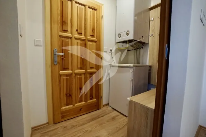 Pronájem bytu 1+1, Město Touškov, Čemínská, 38 m2