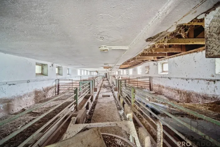 Prodej zemědělského objektu, Přelouč - Mělice, 7117 m2