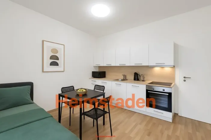 Pronájem bytu 1+kk, Ostrava - Moravská Ostrava, Přívozská, 40 m2