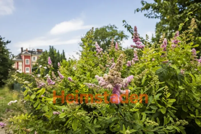 Pronájem bytu 2+kk, Ostrava - Kunčičky, Nadační, 45 m2