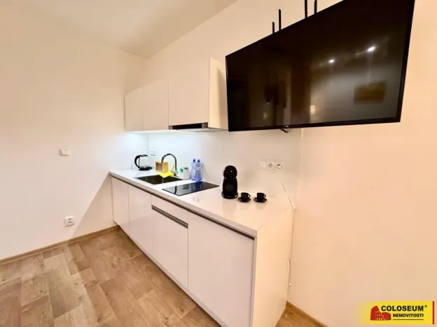 Pronájem bytu 1+kk, Brno - Brno-město, 50 m2
