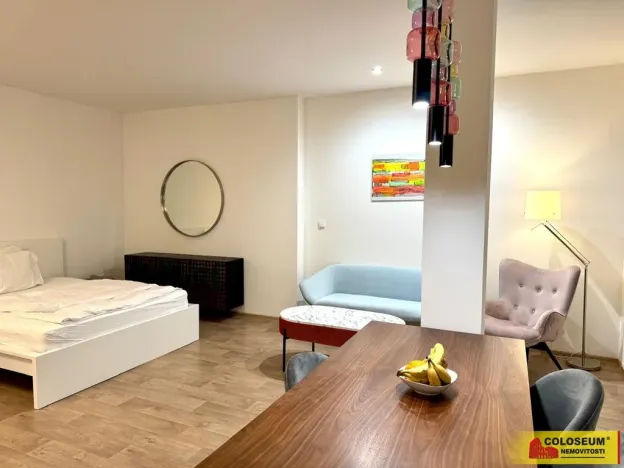 Pronájem bytu 1+kk, Brno - Brno-město, 50 m2