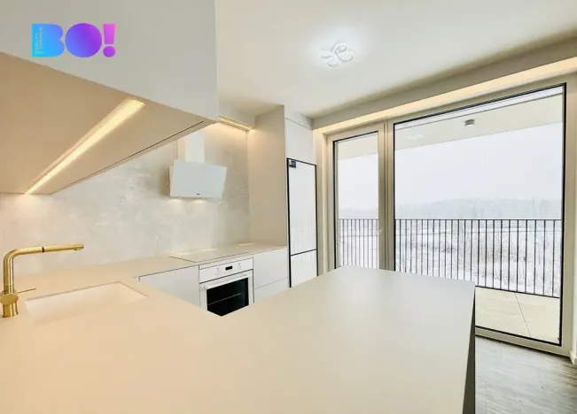 Pronájem bytu 2+kk, Ostrava, F. X. Riepla, 80 m2