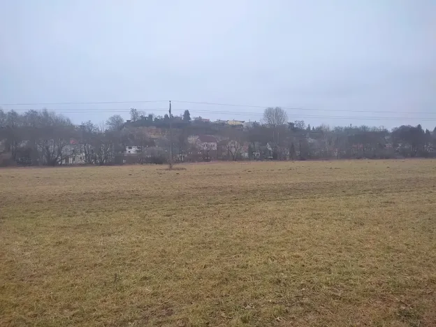 Prodej louky, Mladá Boleslav, 6926 m2