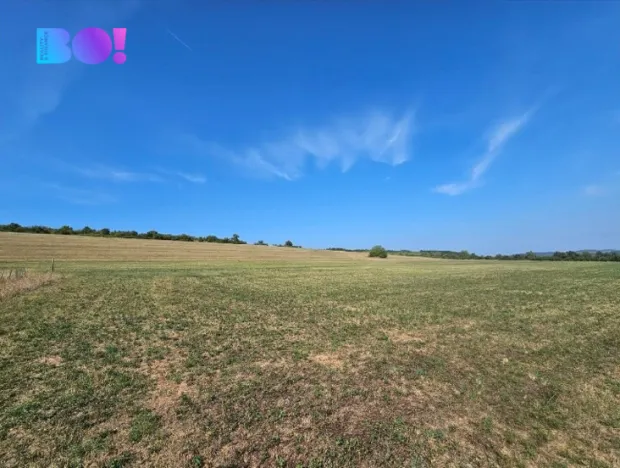 Prodej louky, Málkov, 20000 m2