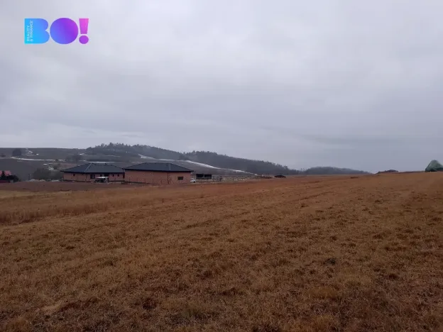 Prodej louky, Málkov, 20000 m2