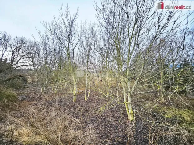 Prodej pole, Sulejovice, 1549 m2