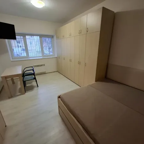 Pronájem bytu 1+1, Brno - Husovice, Svitavská, 31 m2