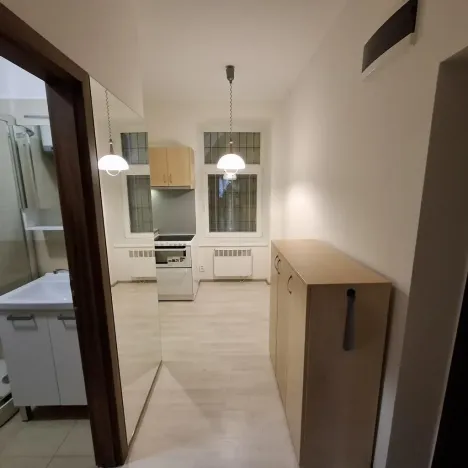 Pronájem bytu 1+1, Brno - Husovice, Svitavská, 31 m2