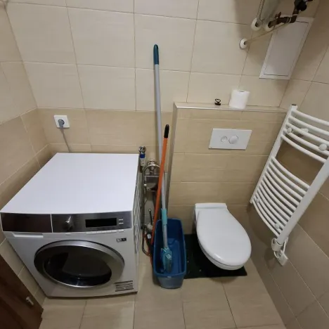 Pronájem bytu 1+1, Brno - Husovice, Svitavská, 31 m2