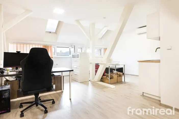 Pronájem bytu 1+kk, Brno, Hlinky, 34 m2