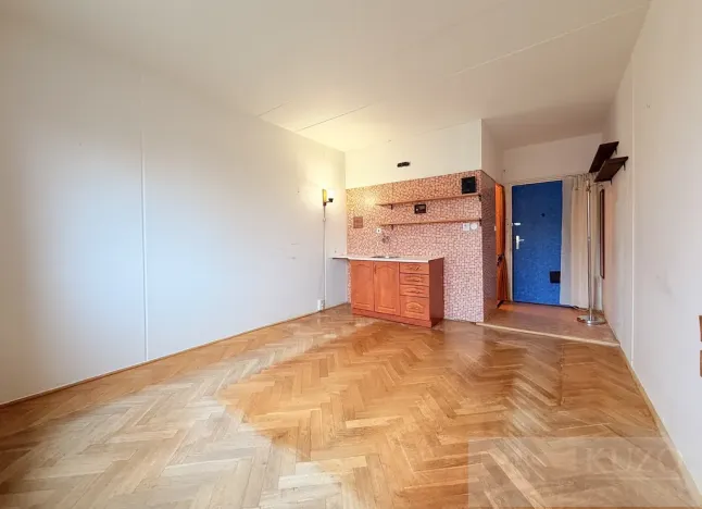 Prodej bytu 1+kk, Plzeň, Skupova, 20 m2