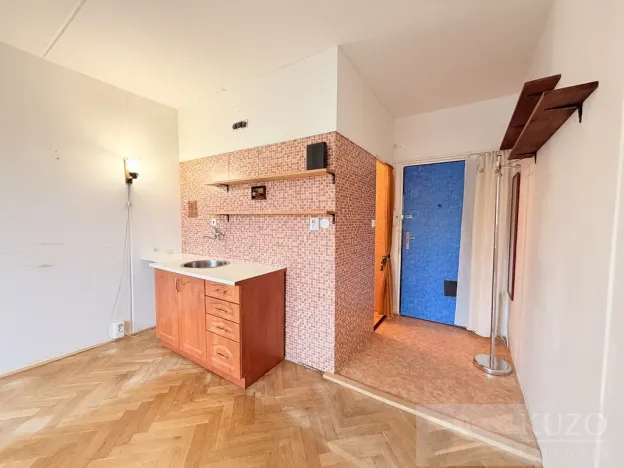 Prodej bytu 1+kk, Plzeň, Skupova, 20 m2