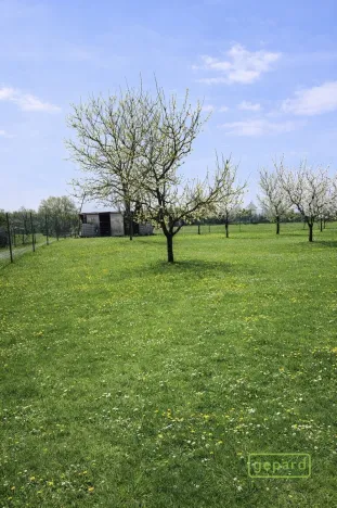 Prodej pozemku, Turovice, 878 m2