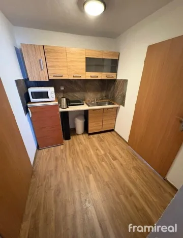 Pronájem bytu 1+kk, Brno, 33 m2