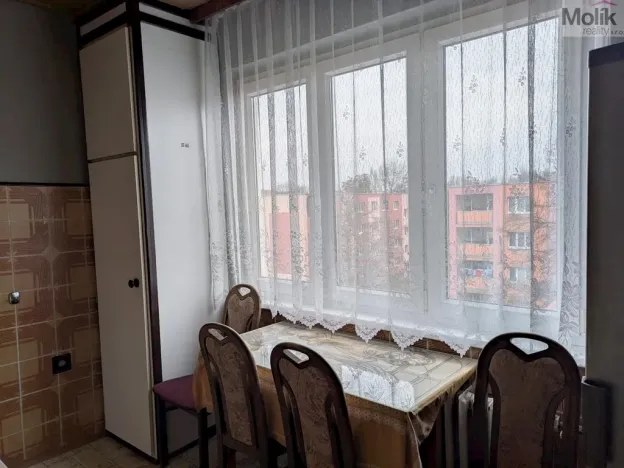 Pronájem bytu 2+1, Bílina - Teplické Předměstí, M. Švabinského, 55 m2