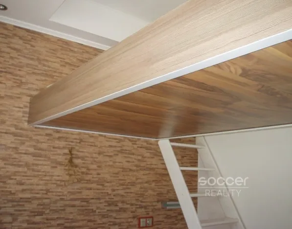 Pronájem bytu 1+kk, Praha - Žižkov, Jeseniova, 16 m2