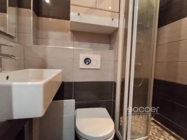 Pronájem bytu 1+kk, Praha - Žižkov, Jeseniova, 16 m2