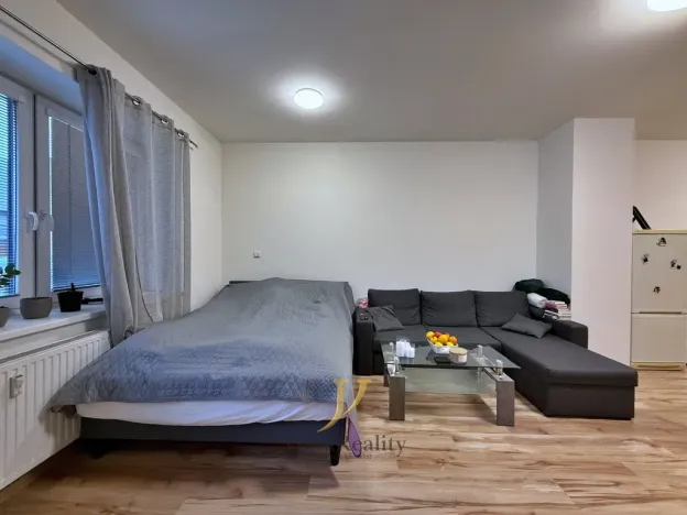 Pronájem bytu 1+kk, Olomouc - Hodolany, Geislerova, 50 m2