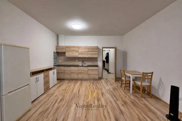 Pronájem bytu 1+kk, Olomouc - Hodolany, Geislerova, 50 m2