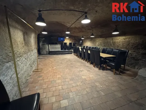 Pronájem restaurace, Mladá Boleslav, Ptácká, 410 m2