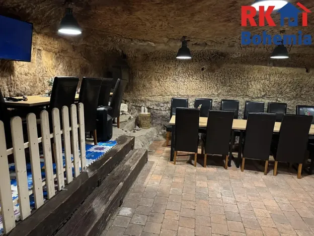 Pronájem restaurace, Mladá Boleslav, Ptácká, 410 m2