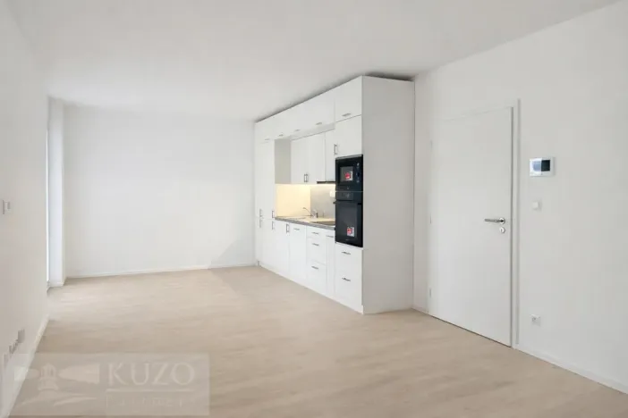 Pronájem bytu 2+kk, Brno, Auerswaldova, 47 m2